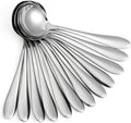 Large Soup Spoons/Stainless Steel Bouillion Spoons 12-Piece 7.7 Inches